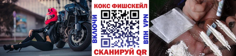 COCAIN Fish Scale  Купить  Сорск 