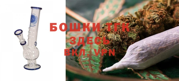гидропоника Гусиноозёрск