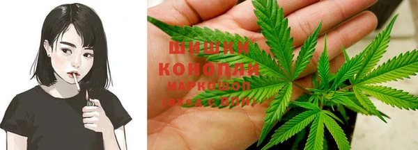 гидропоника Гусиноозёрск