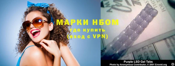 ешки Гусь-Хрустальный