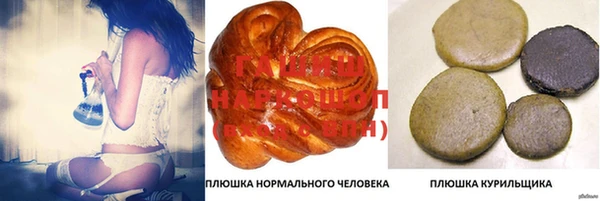 ешки Гусь-Хрустальный