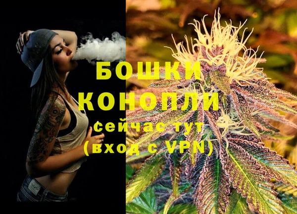 стаф Дмитровск