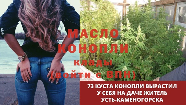 ешки Гусь-Хрустальный
