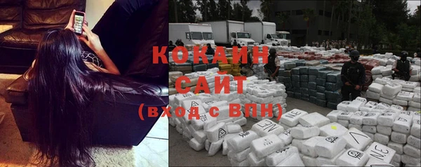 гидропоника Гусиноозёрск