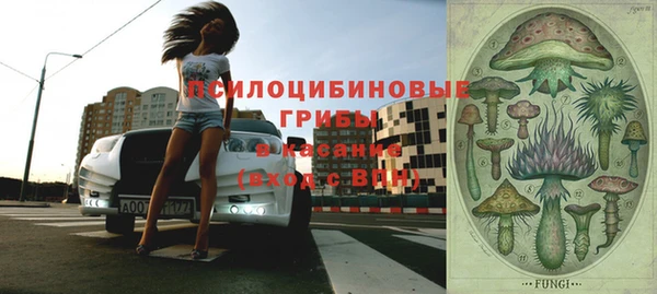 ешки Гусь-Хрустальный