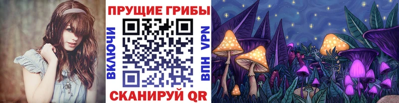 Купить  Сорск  Галлюциногенные грибы прущие грибы 